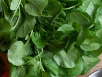 watercress