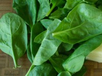 spinach