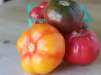 heirloom tomatoes