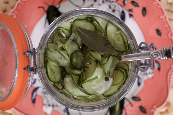 swedish quick pickled cucumbers