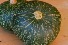 kabocha squash