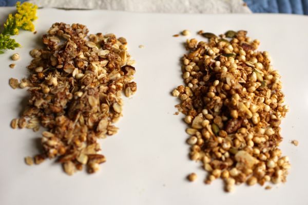 tale of two granolas